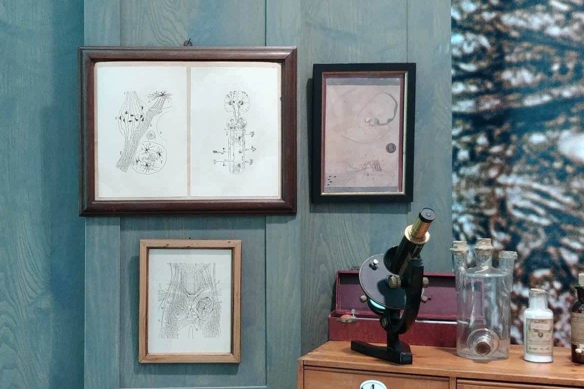 Santiago Ramon y Cajal's laboratory (reconstruction), Valencia by Giulia Franceschini - 05.jpg
